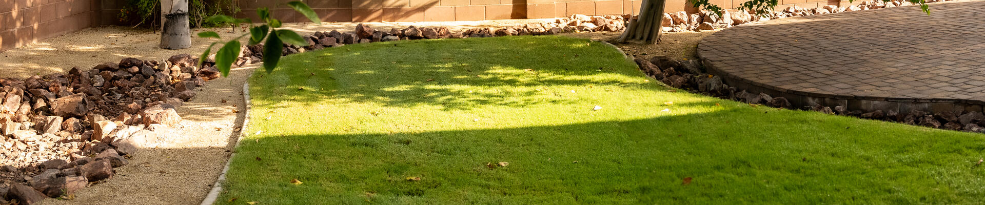 Landscaper maintaining a green lawn in Yuma AZ